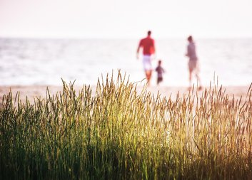 Formy náhradní rodinné péče 