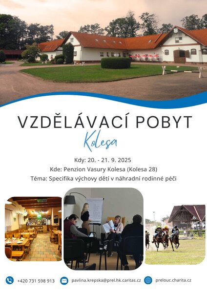 VZDĚLÁVÁNÍ PĚSTOUNŮ STR 1